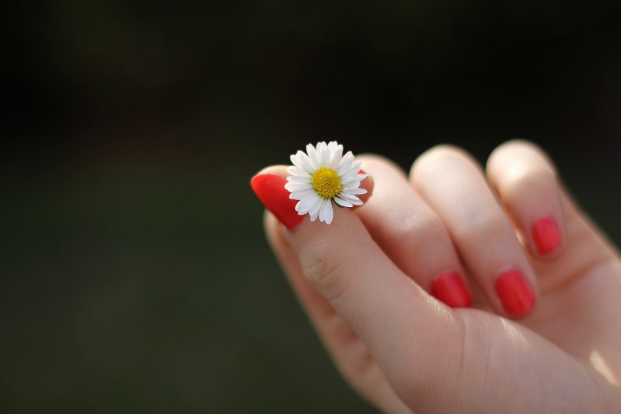 hand-302802_1920