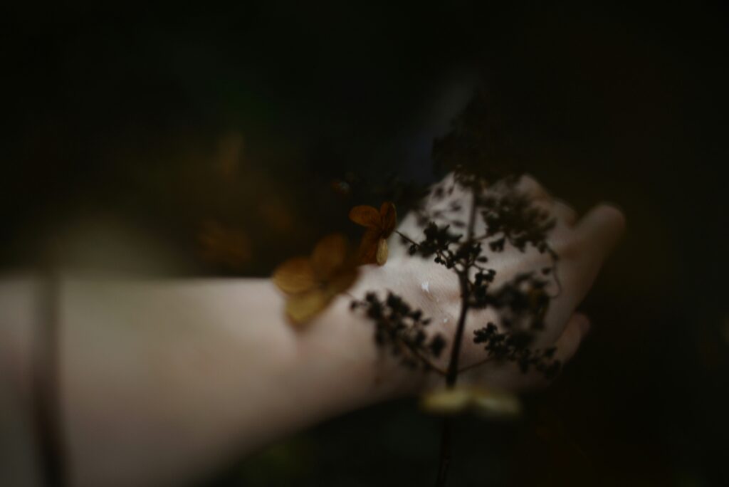 composition iNCI critique