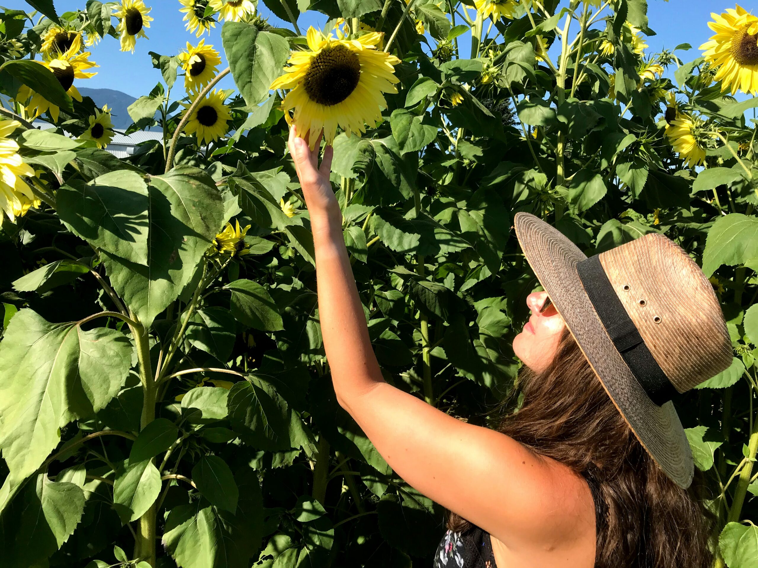 Comparatif Crèmes Solaires: Le « Double Match Cosméto » de l&rsquo;Été – Conventionnel contre Bio